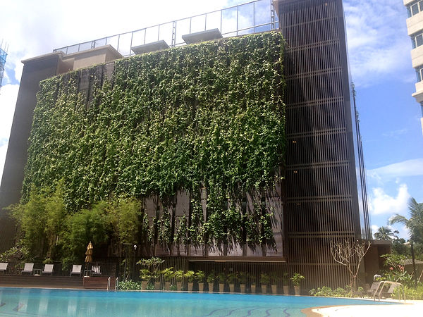 completed new MSCP with green wall_edite
